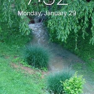 Meet your Posher, Brenda